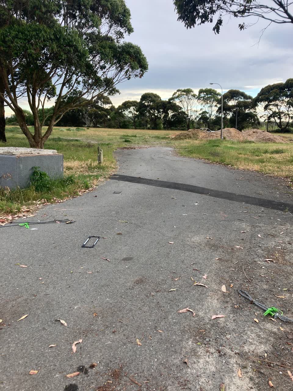 The photograph attached to this parks report