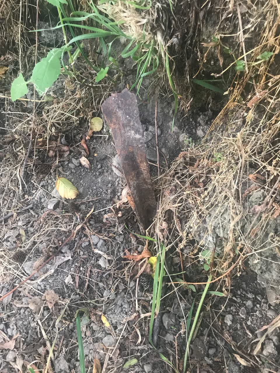 The photograph attached to this parks report