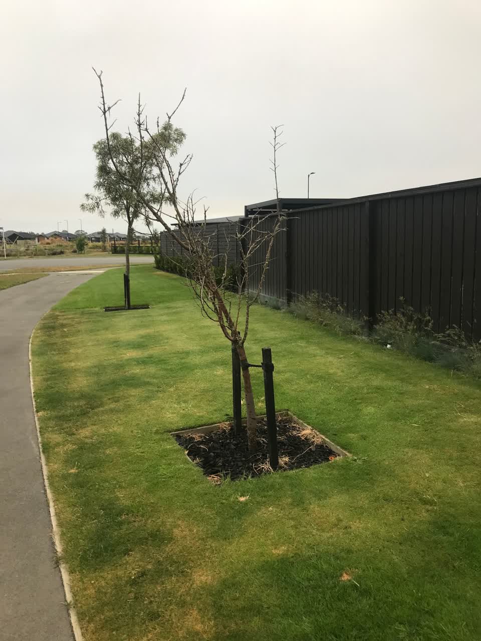 The photograph attached to this parks report