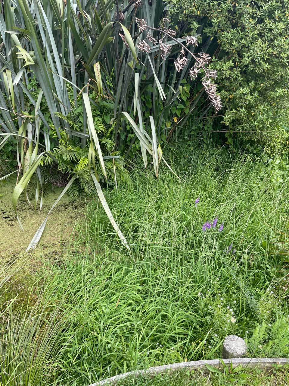 The photograph attached to this wastewater/stormwater report
