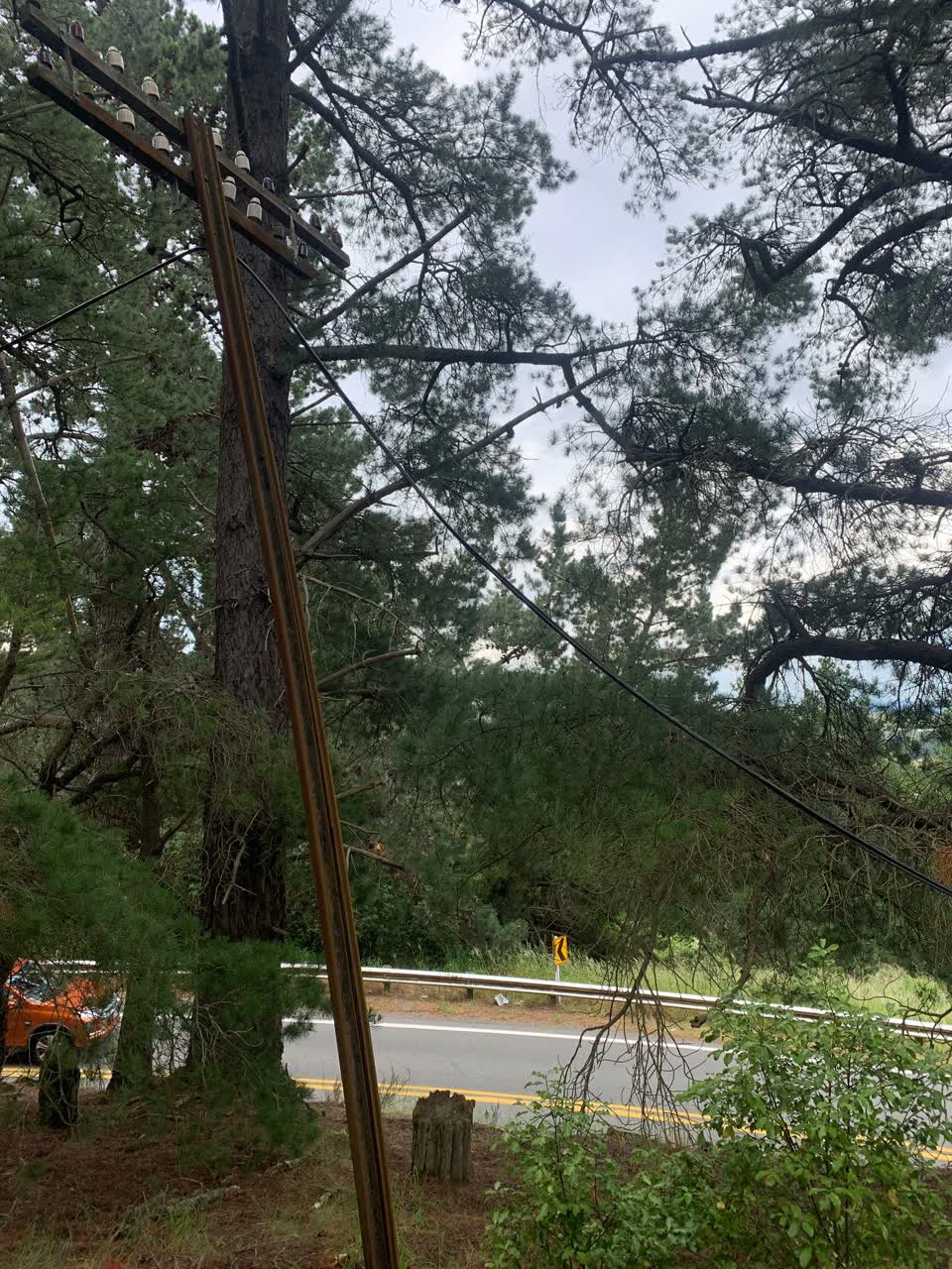 The photograph attached to this parks report