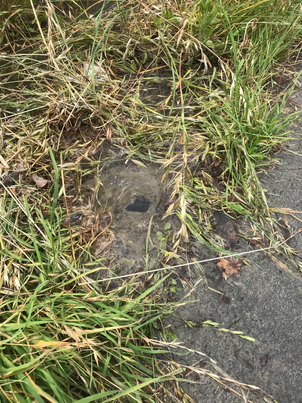 The photograph attached to this wastewater/stormwater report