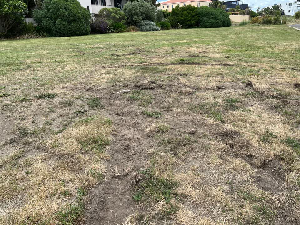 The photograph attached to this parks report
