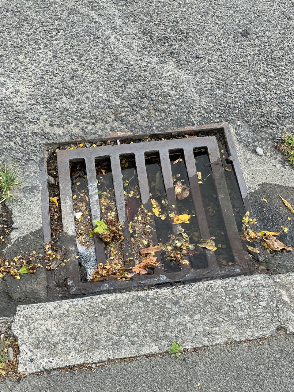The photograph attached to this wastewater/stormwater report