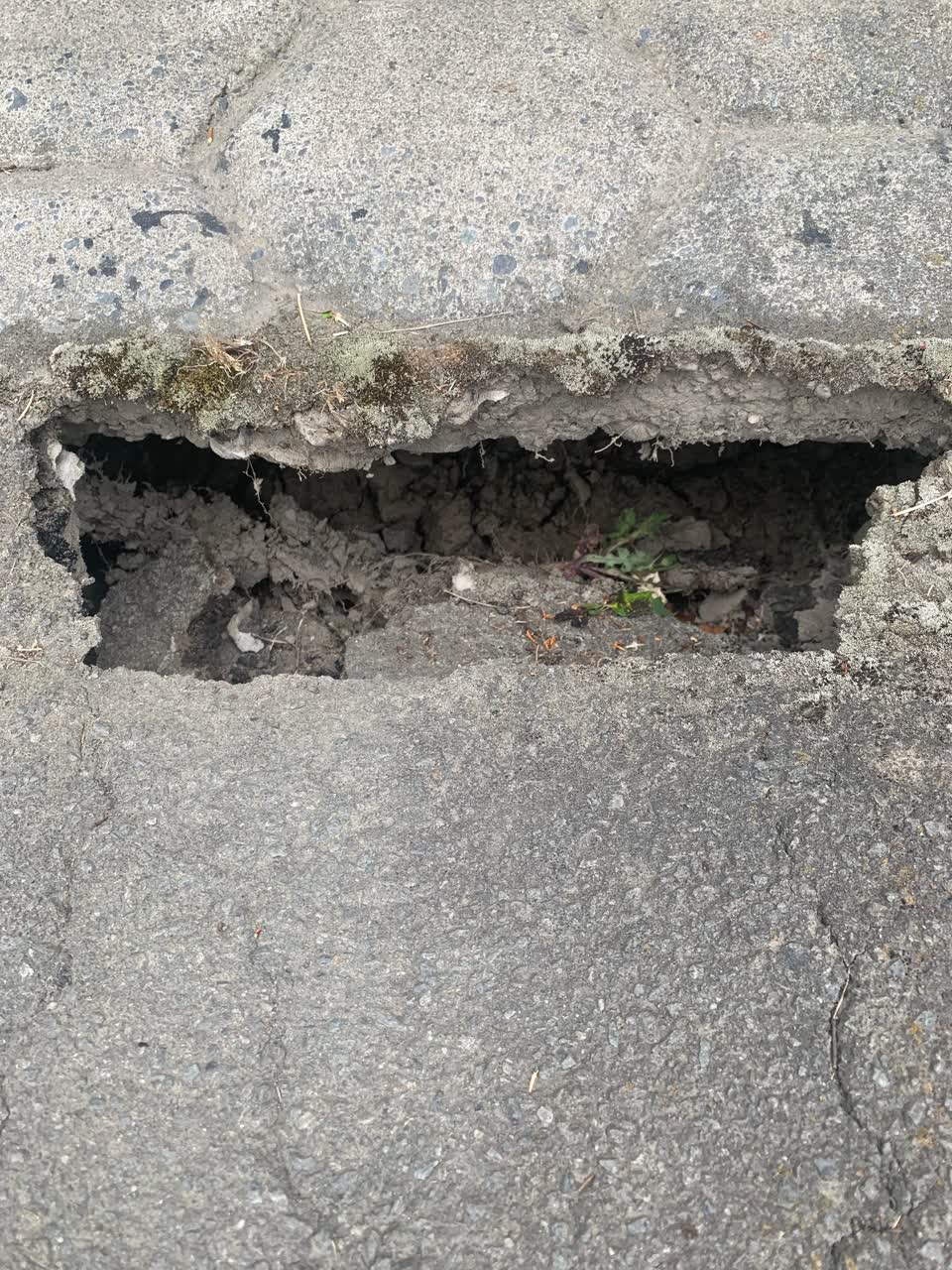 The photograph attached to this roading/streets report