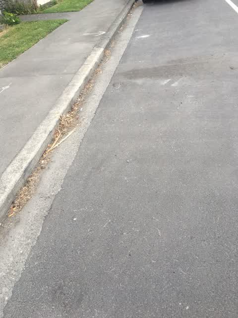 Roading/Streets, a report photo