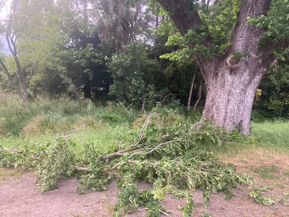 The photograph attached to this parks report