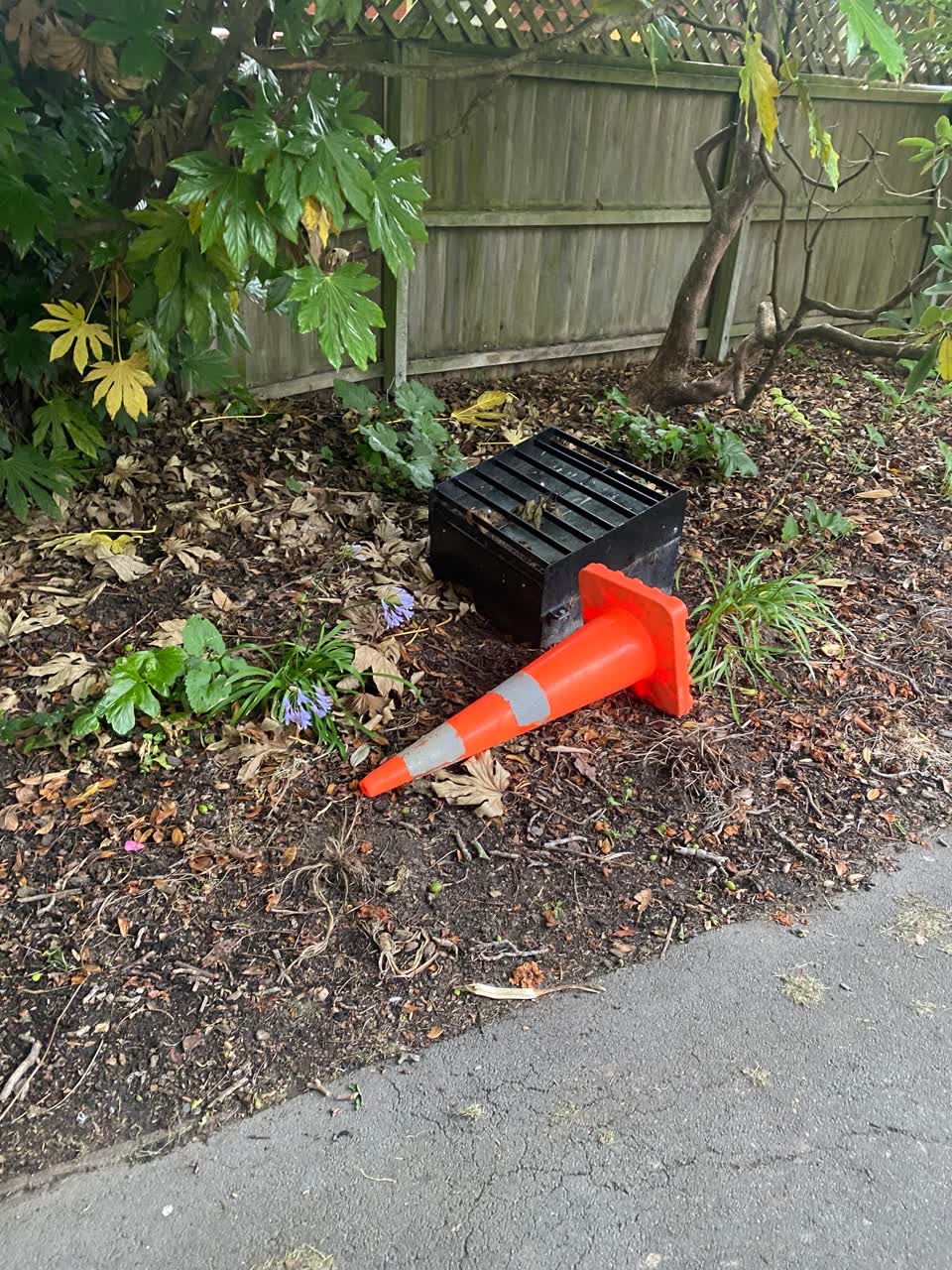The photograph attached to this parks report