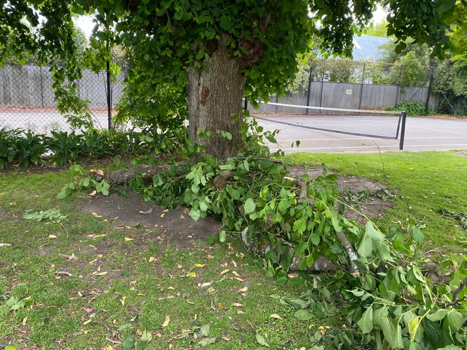 The photograph attached to this parks report