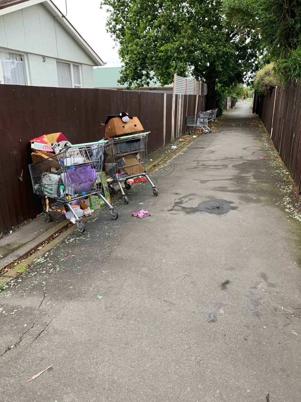 The photograph attached to this rubbish/recycling report