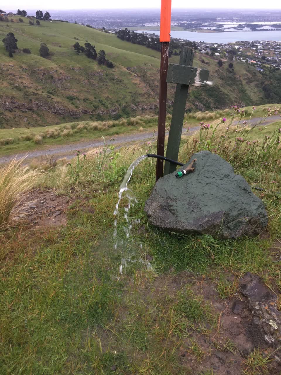 The photograph attached to this water leak report