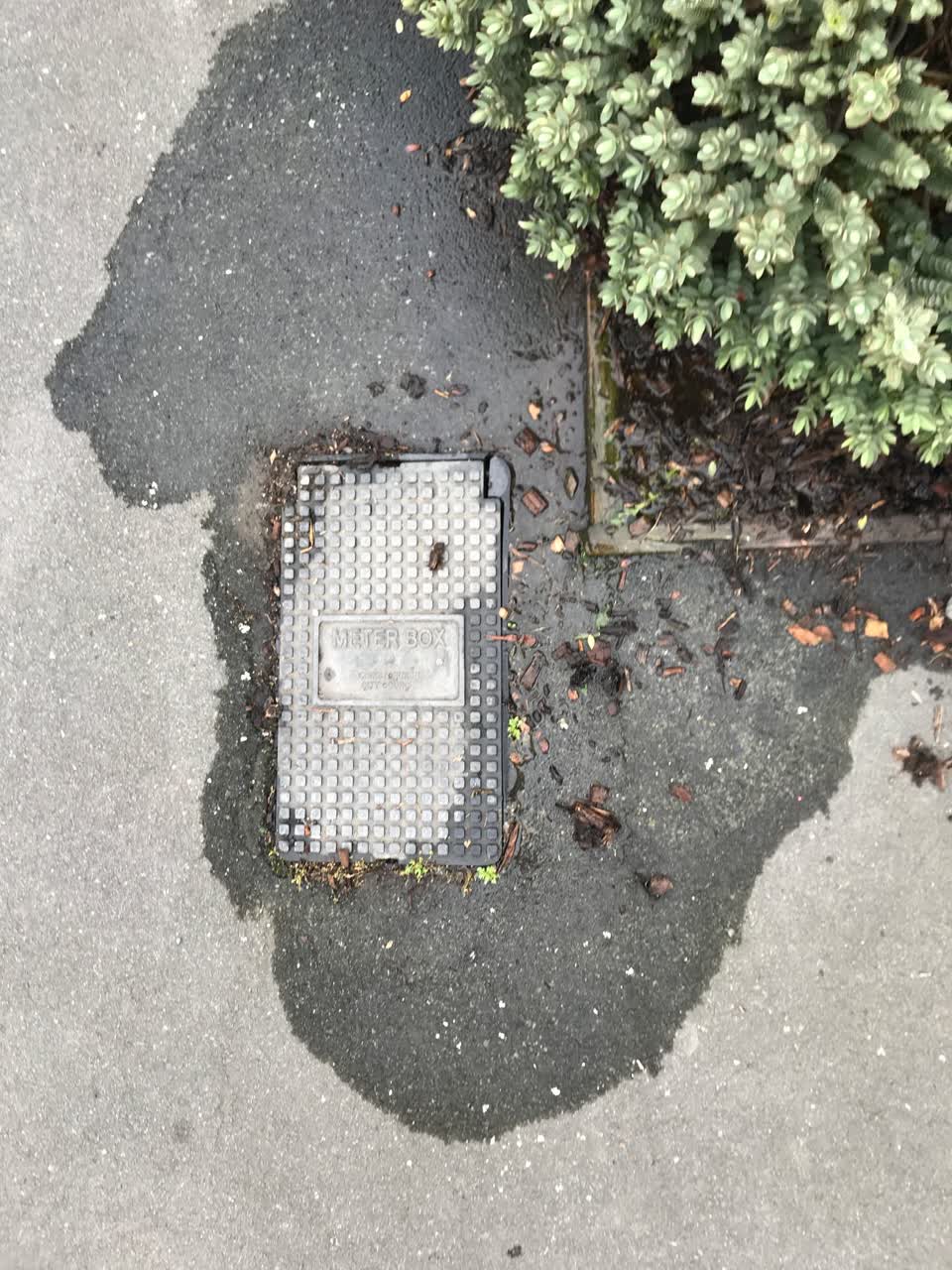 The photograph attached to this water leak report