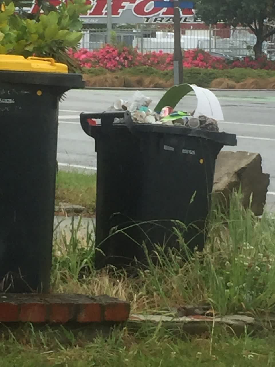 The photograph attached to this rubbish/recycling report