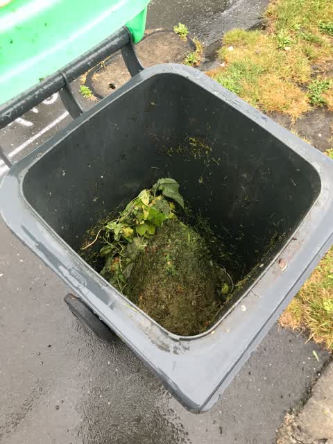 Rubbish/Recycling, a report photo