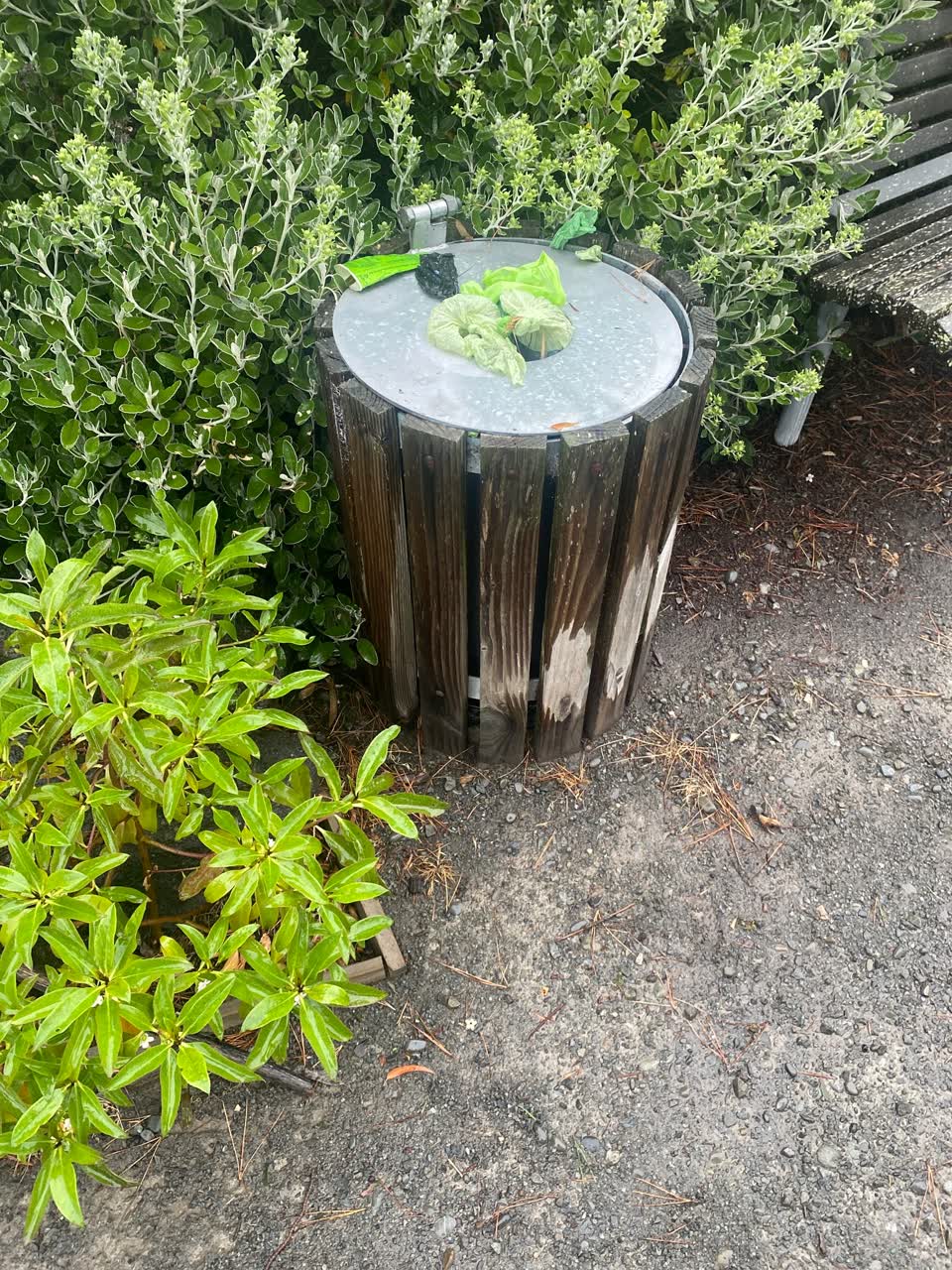 The photograph attached to this rubbish/recycling report