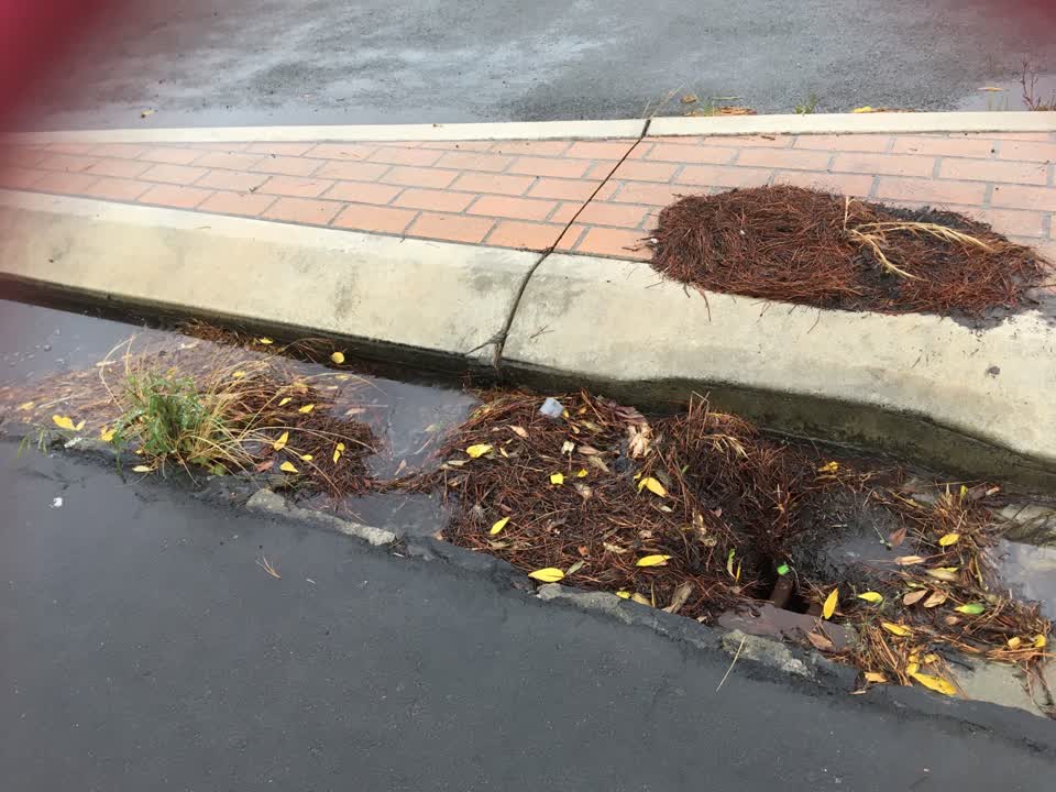 The photograph attached to this wastewater/stormwater report