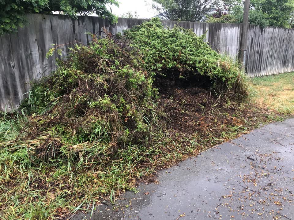 The photograph attached to this parks report