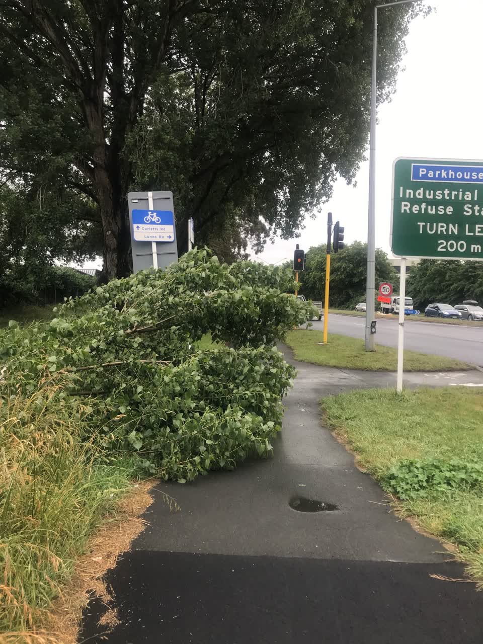The photograph attached to this parks report