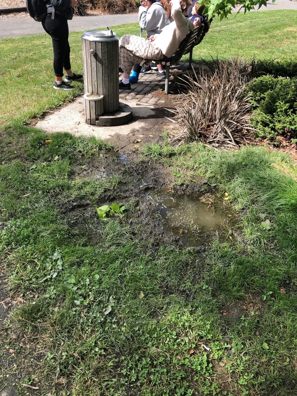 The photograph attached to this water leak report