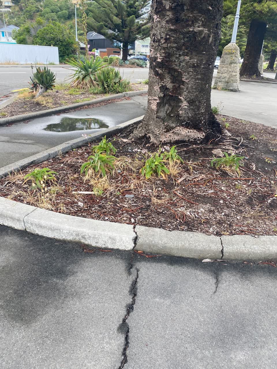 The photograph attached to this parks report