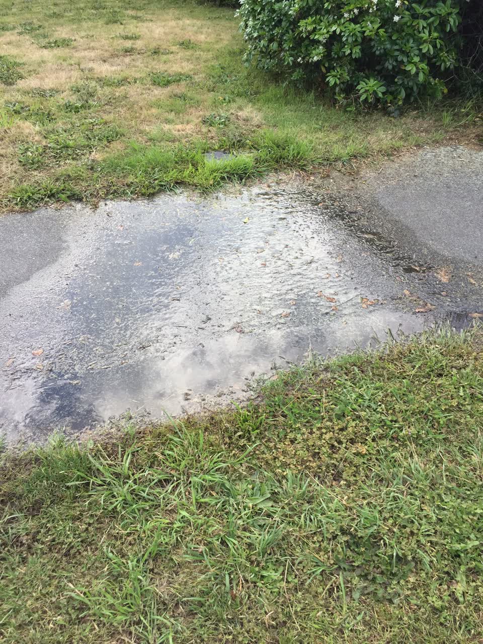 The photograph attached to this water leak report