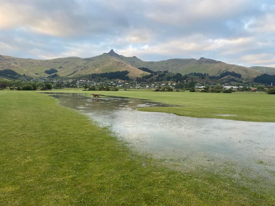 The photograph attached to this parks report