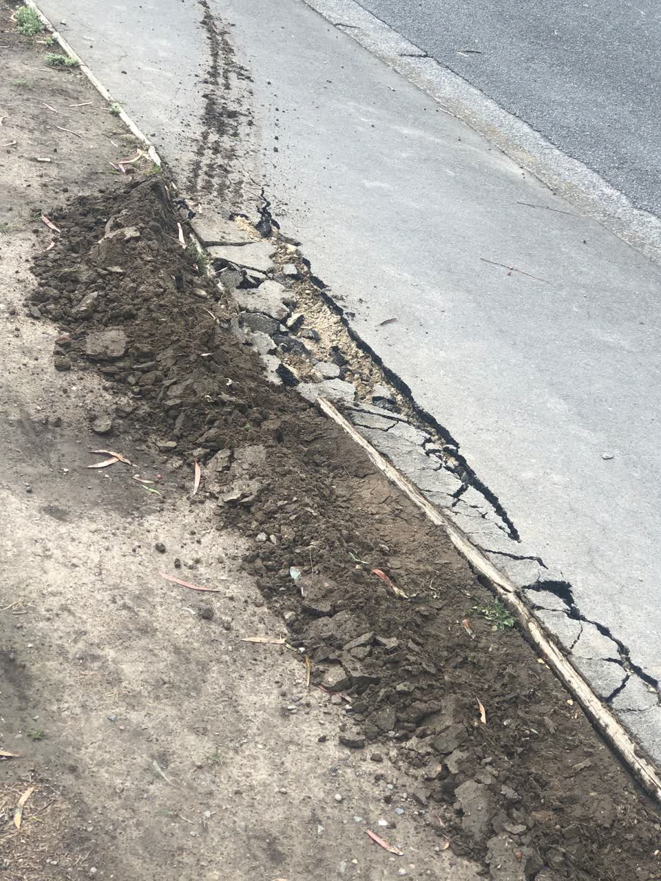 The photograph attached to this roading/streets report