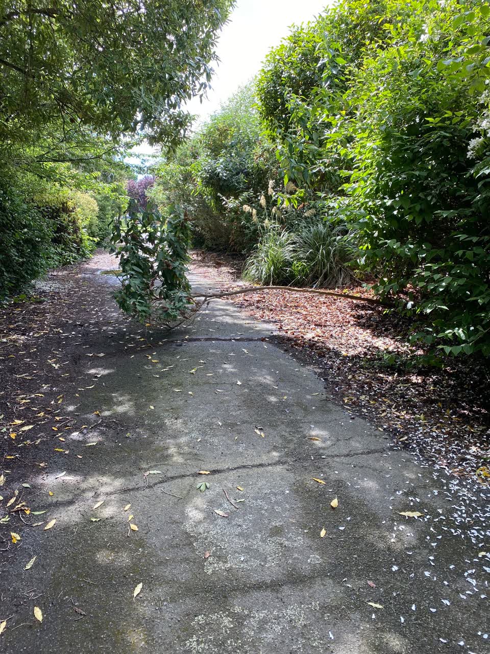The photograph attached to this parks report