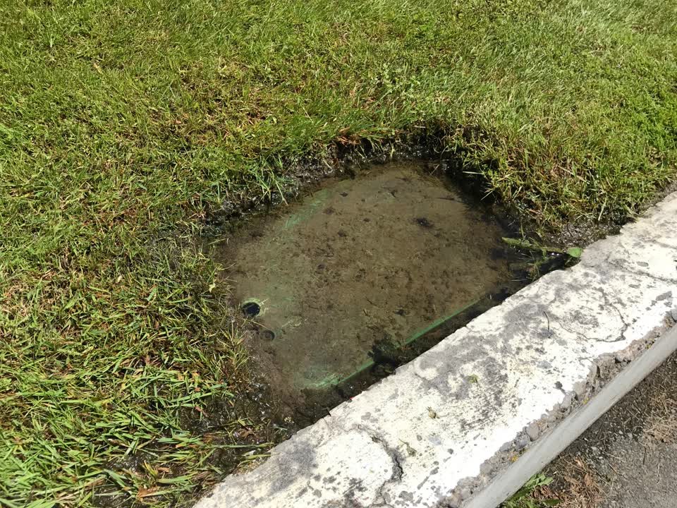 The photograph attached to this water leak report