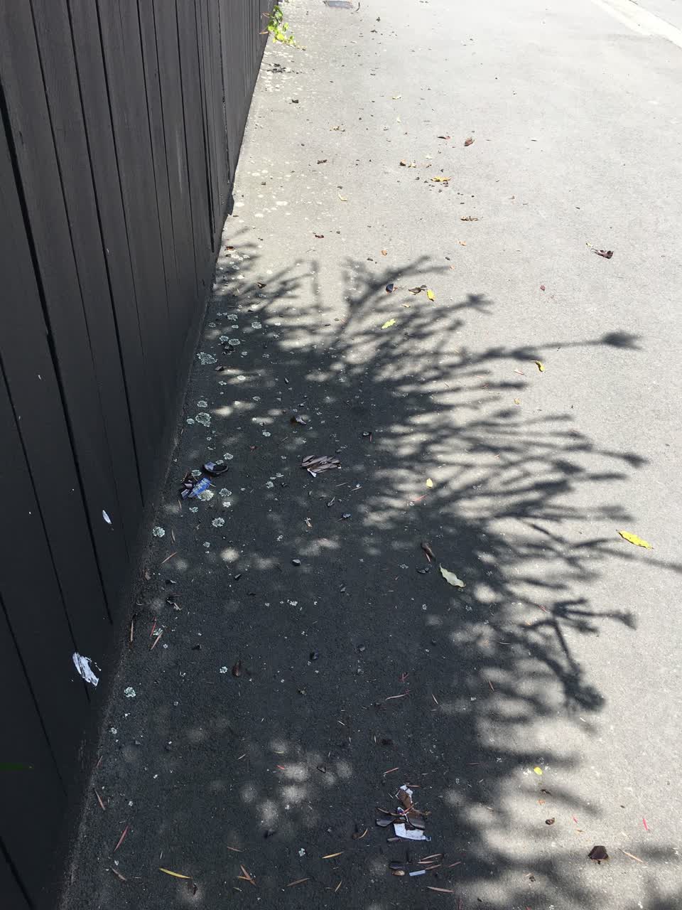 The photograph attached to this roading/streets report