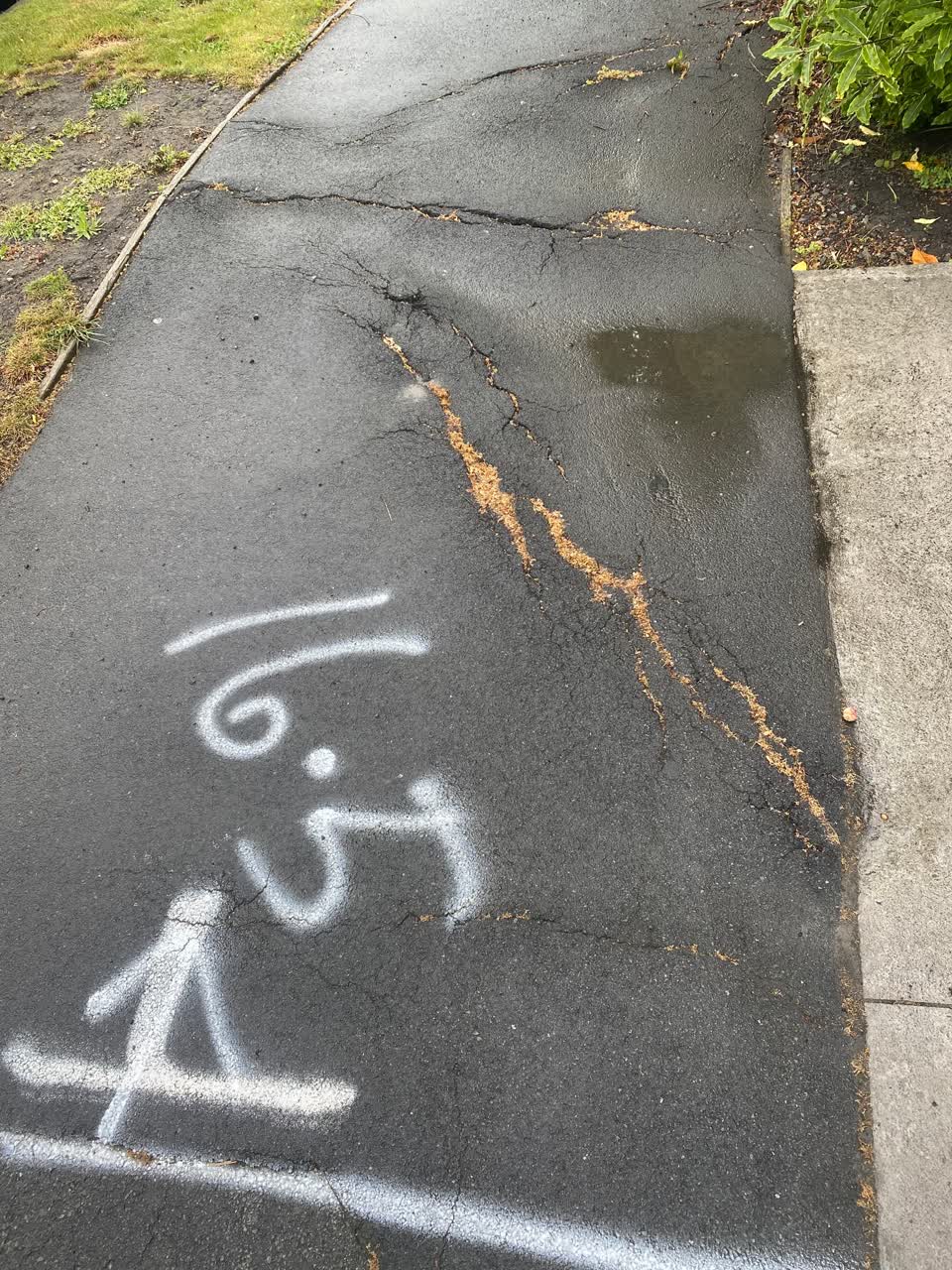 The photograph attached to this roading/streets report