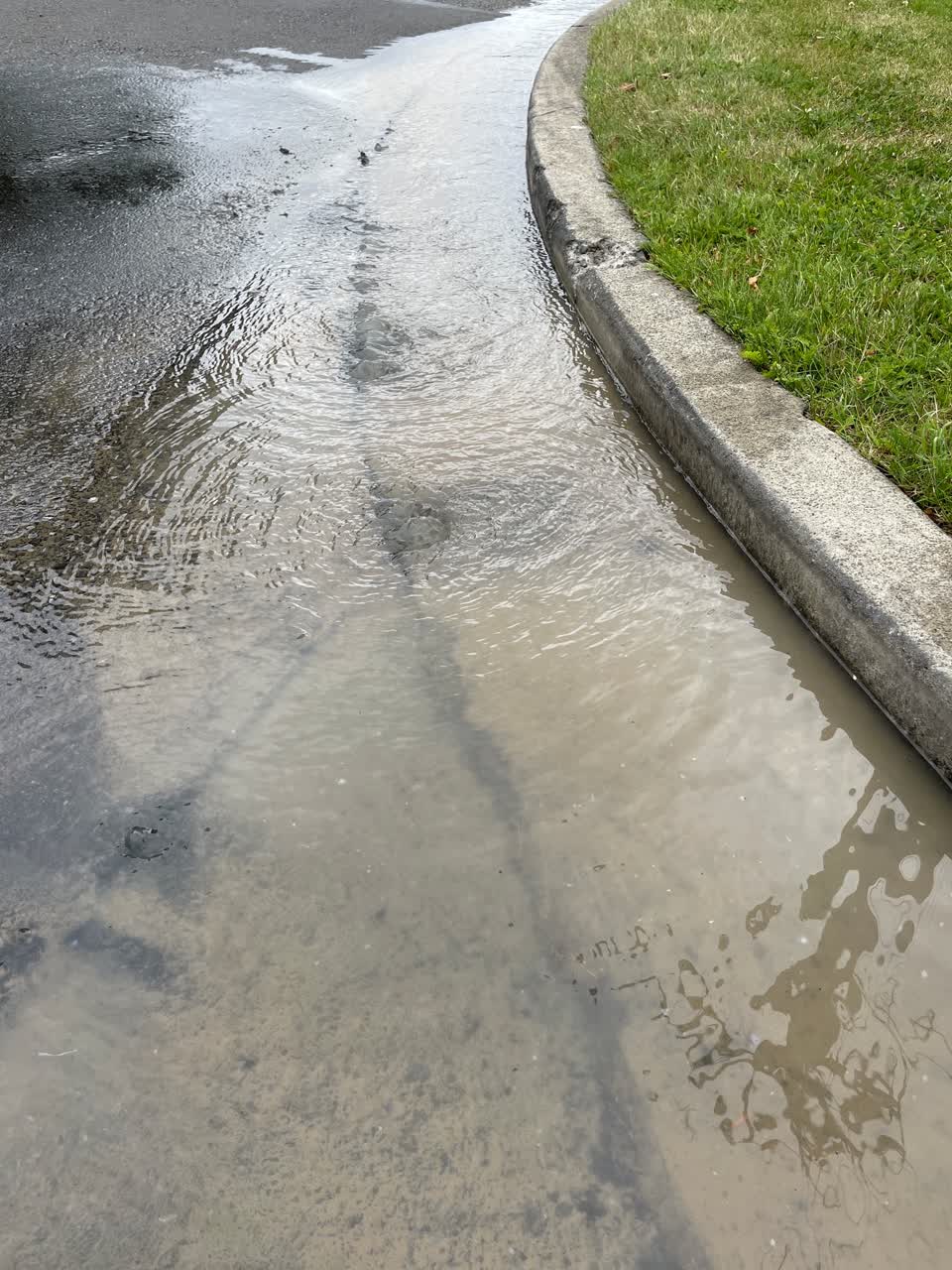 The photograph attached to this water leak report