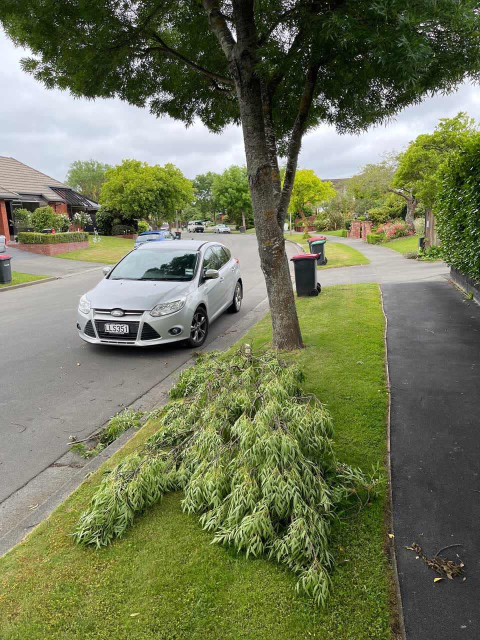 The photograph attached to this roading/streets report