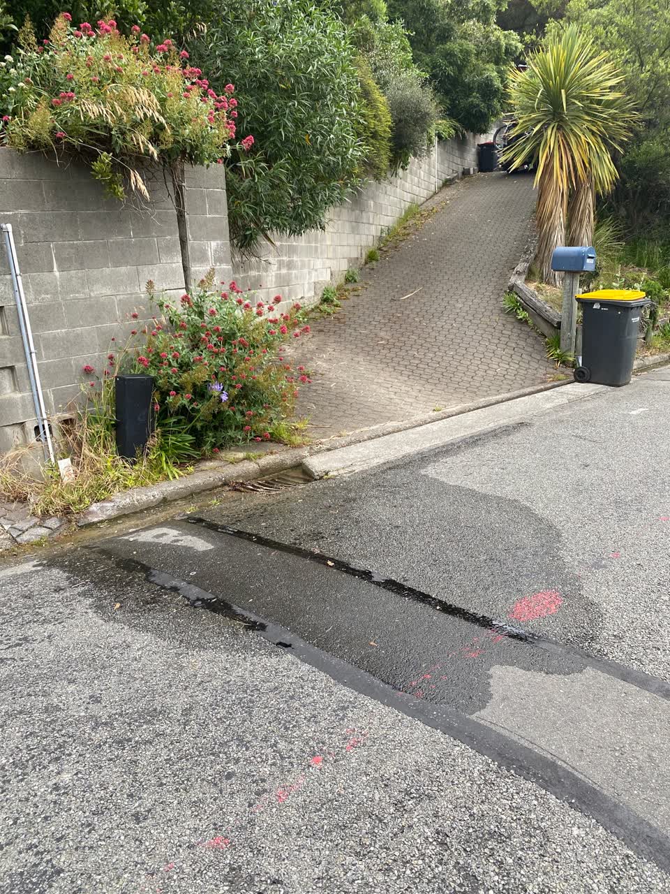 The photograph attached to this water leak report