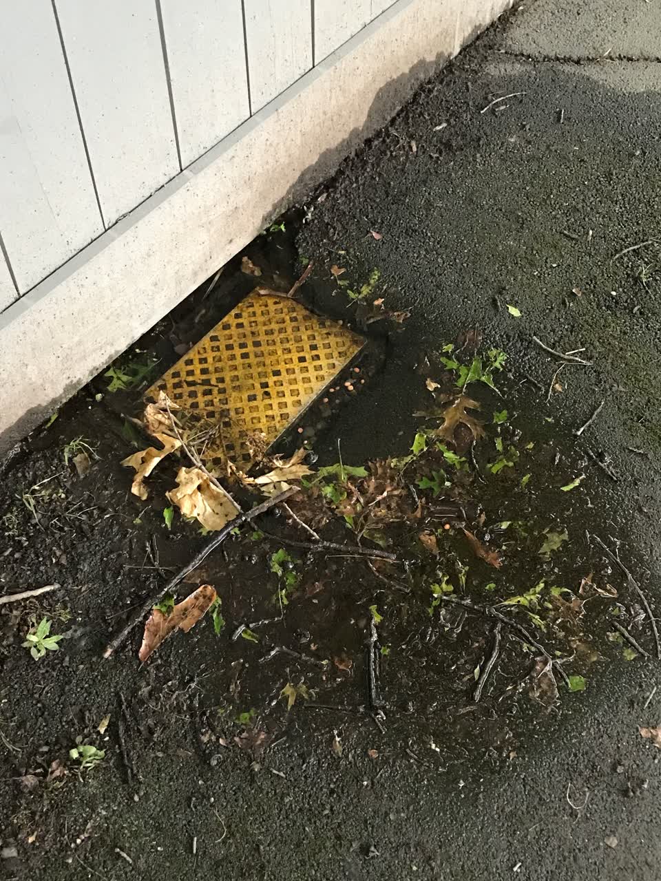 The photograph attached to this water leak report