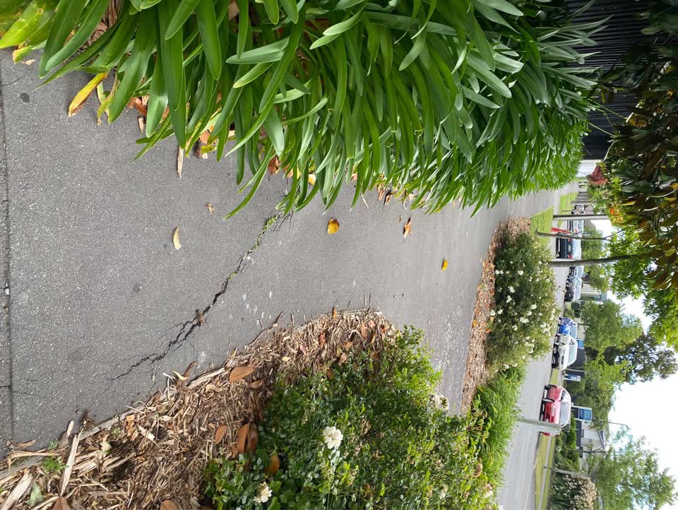 The photograph attached to this roading/streets report
