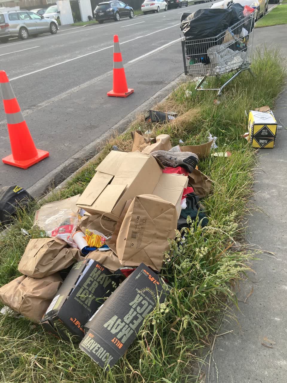 The photograph attached to this rubbish/recycling report