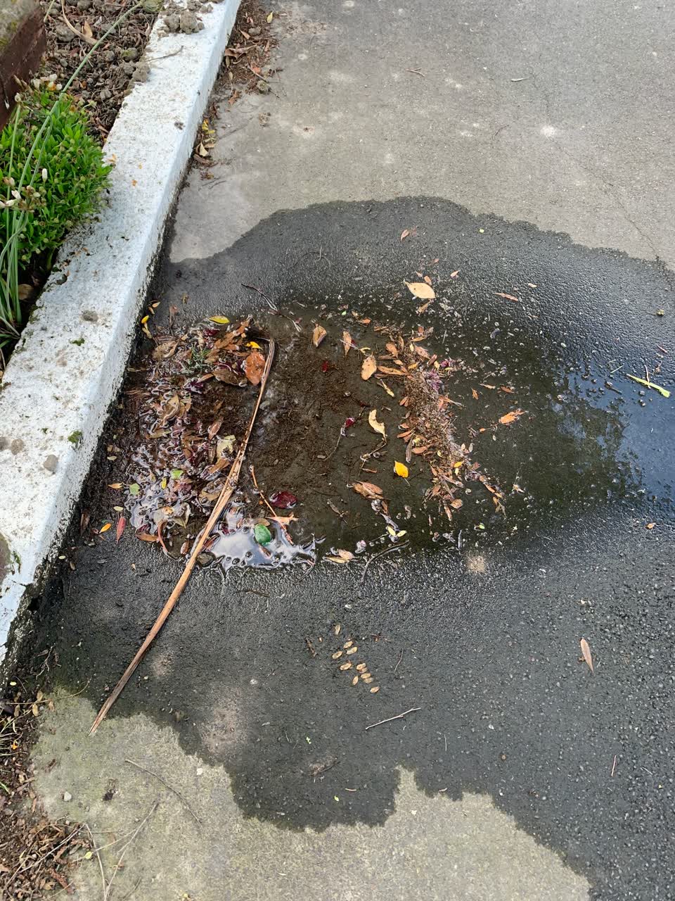 The photograph attached to this water leak report