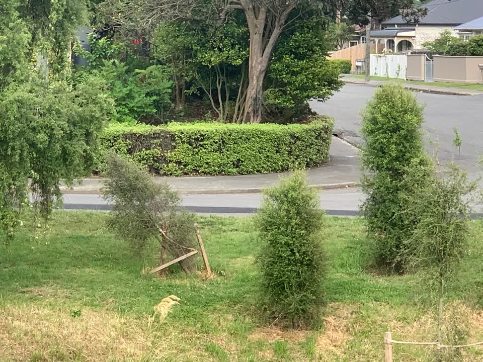 The photograph attached to this parks report