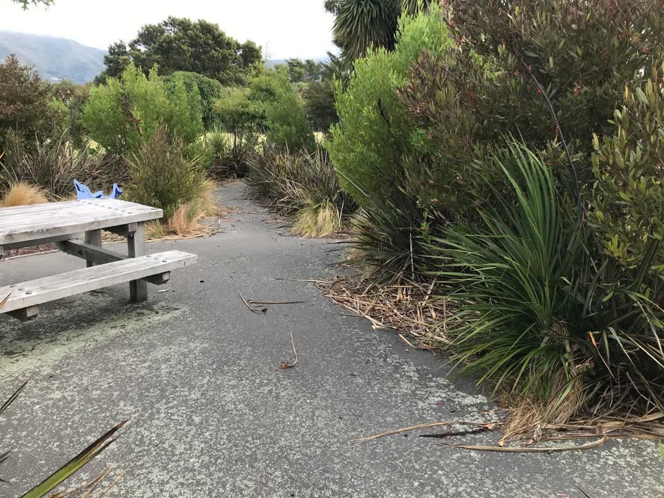 The photograph attached to this parks report