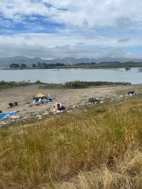 Rubbish/Recycling, a report photo