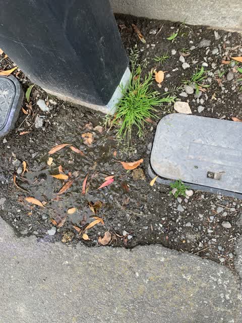 Water Leak, a report photo