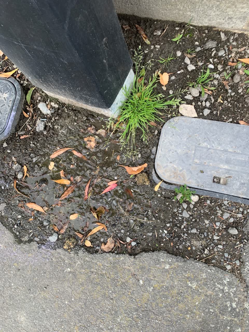 The photograph attached to this water leak report