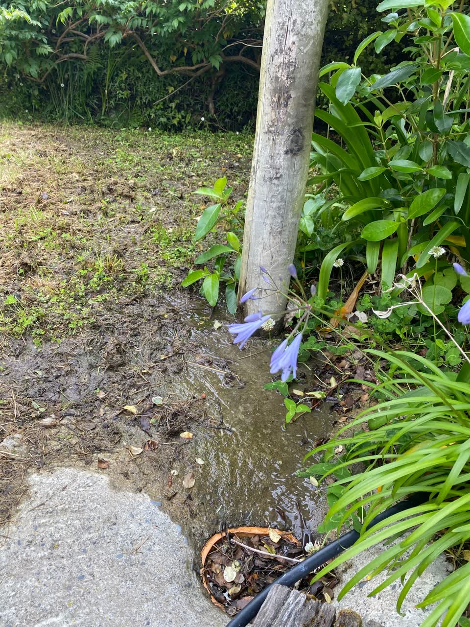 The photograph attached to this water leak report