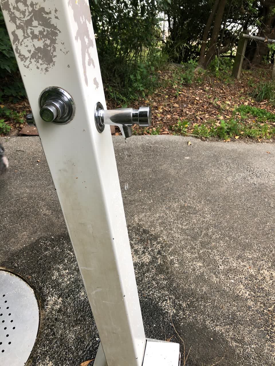The photograph attached to this water leak report