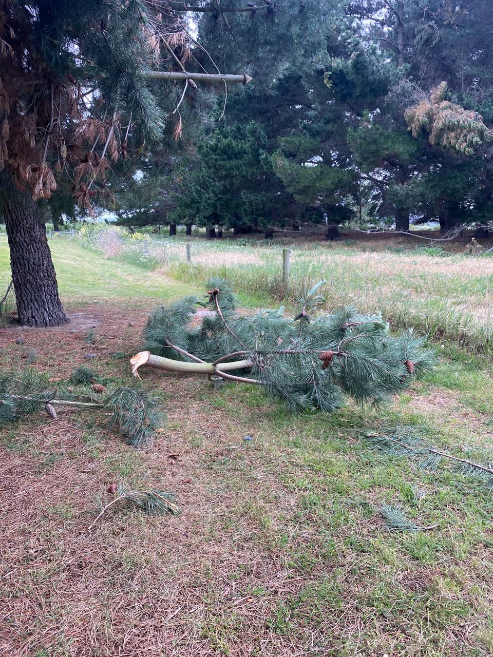 The photograph attached to this parks report