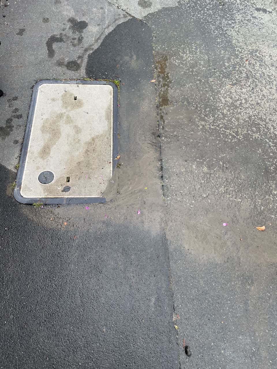 The photograph attached to this water leak report