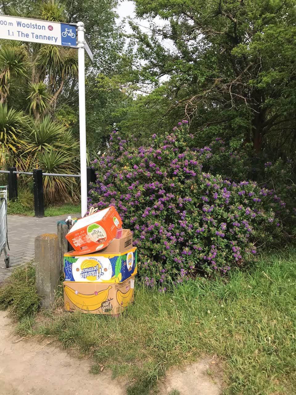 The photograph attached to this rubbish/recycling report