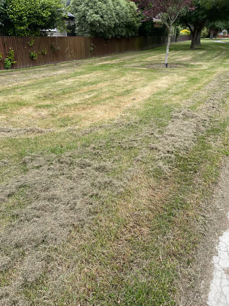 The photograph attached to this parks report