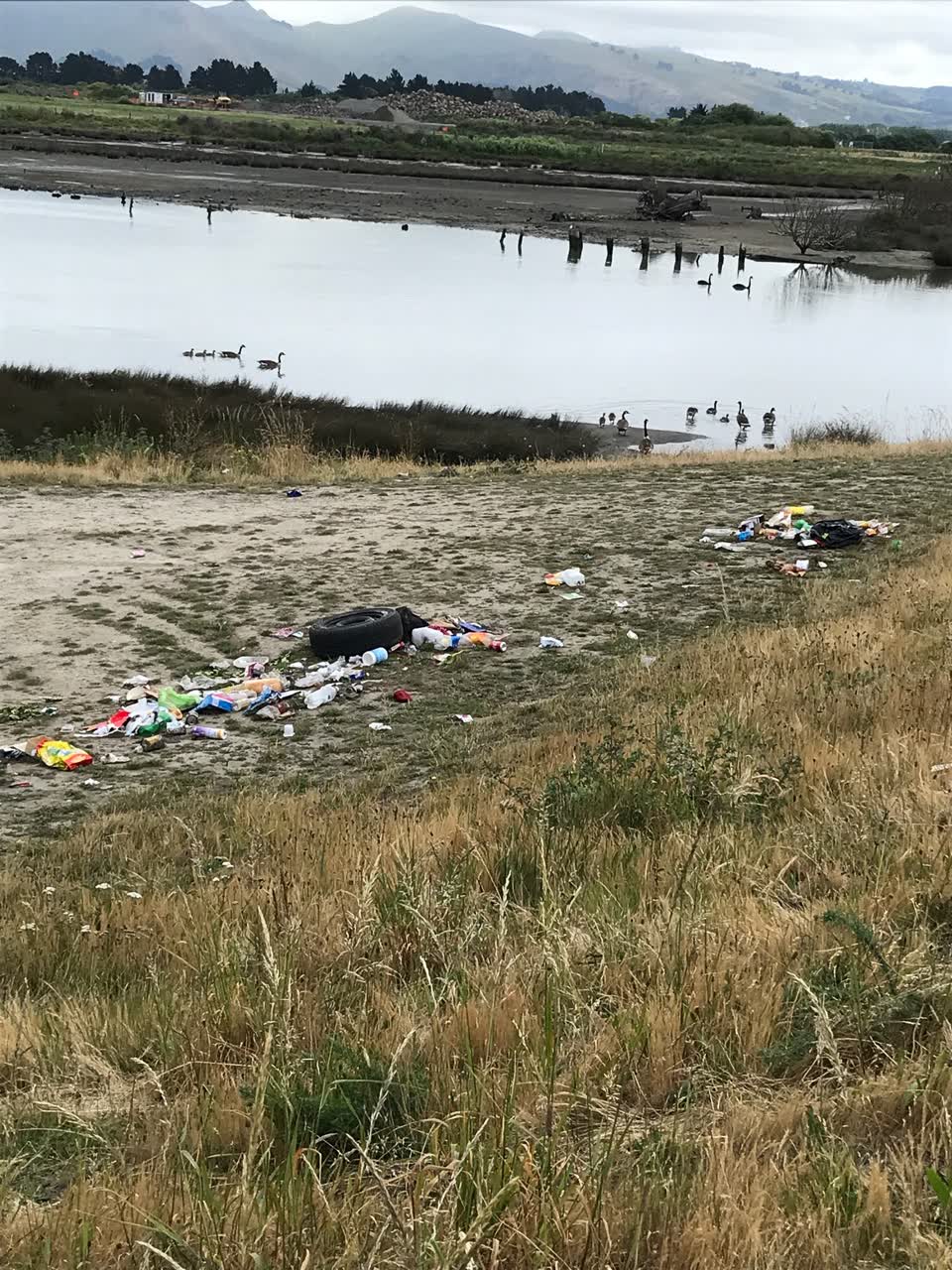 The photograph attached to this rubbish/recycling report